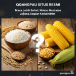 qqangpau situs resmi